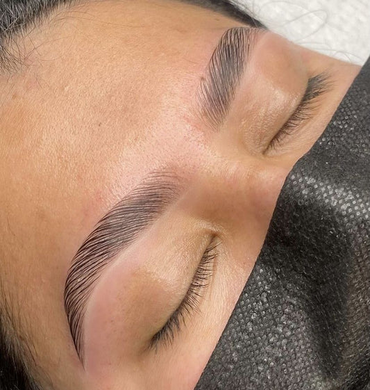 Beginners Brow Class | Starting at $700